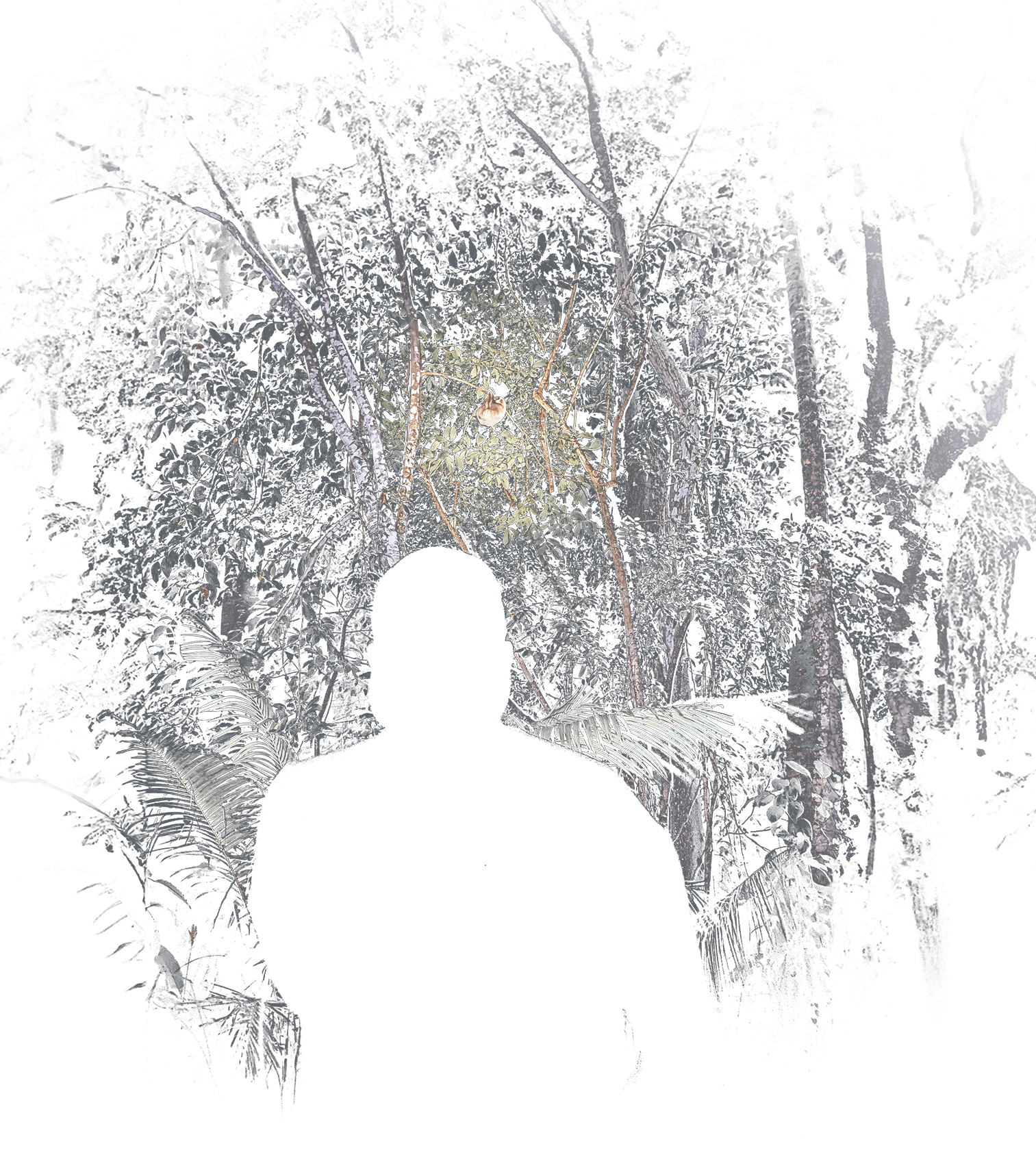 face to face Face to Face Night Walk